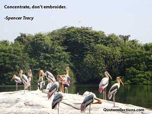 spencer_tracy_quotes Quotes 3